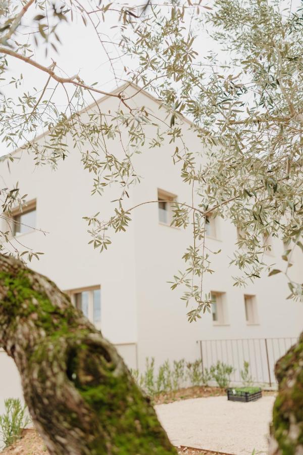 Casa Oliveto - B&B Spoltore