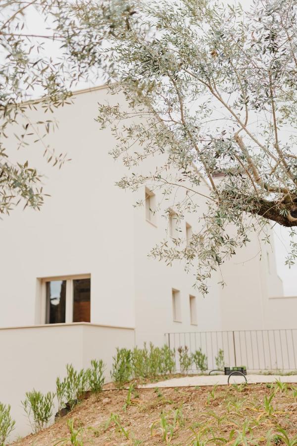 Casa Oliveto - B&B Spoltore