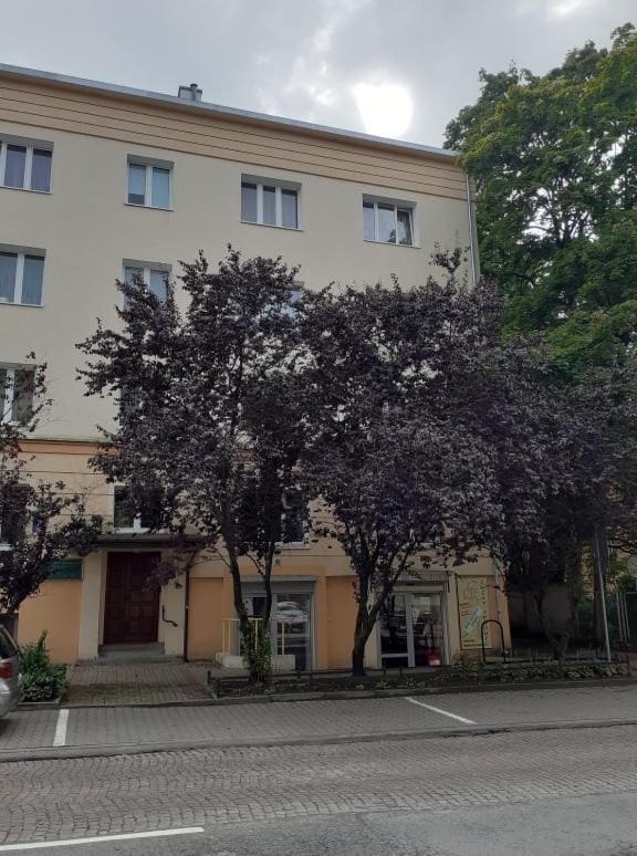 Apartament Mickiewicza - B&B