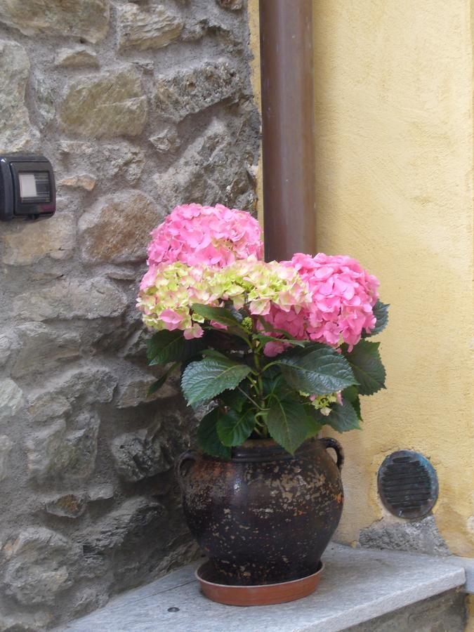 Le Chaton Fait Ronron - B&B Quart