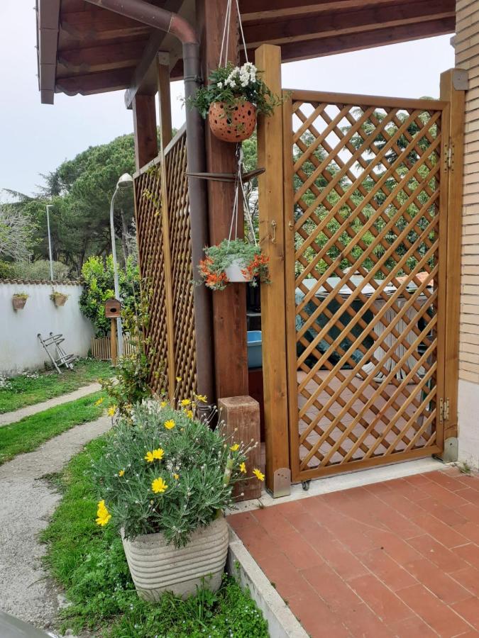 Palma House - B&B