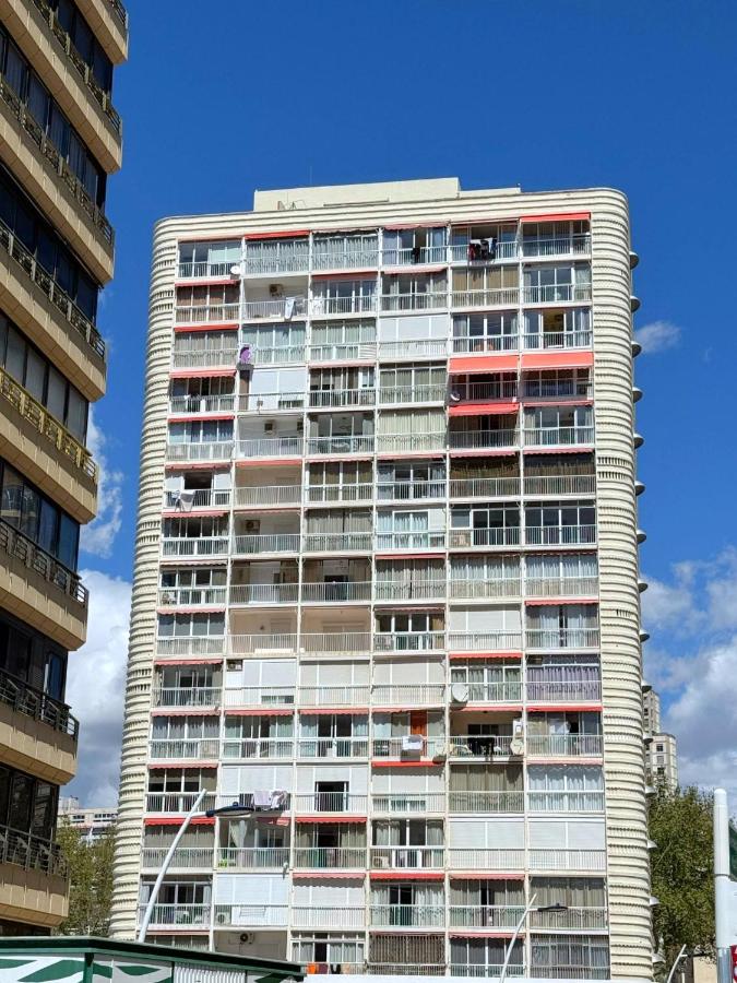 Playmon Bacana - B&B Benidorm
