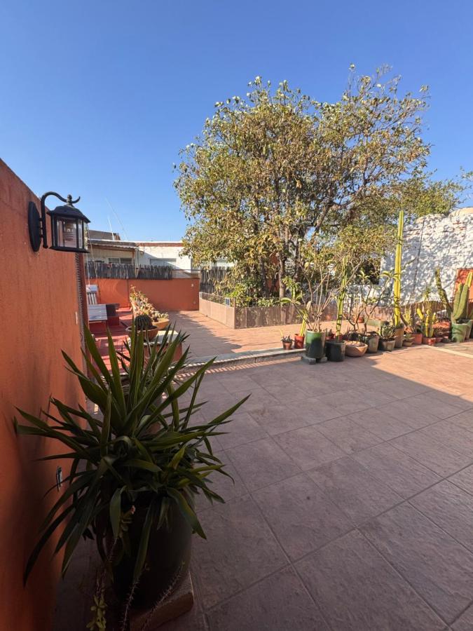 La Casa del Arbol Townhouse - B&B Oaxaca