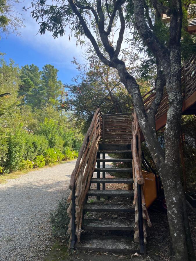 Cabañas y Camping Barlovento - B&B