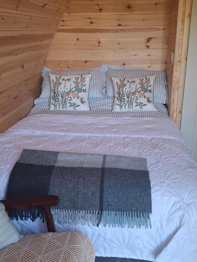 Beautiful and Cosy Garden Pod Saintives - B&B Carbis Bay