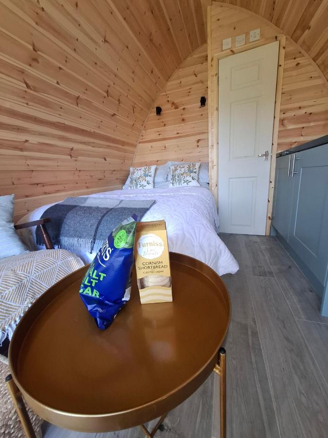 Beautiful and Cosy Garden Pod Saintives - B&B Carbis Bay