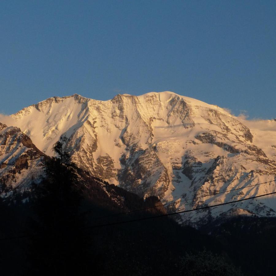 LES JARDINS ALPINS CHEZ Olivier - Ferienwohnung Saint-Gervais-les-Bains