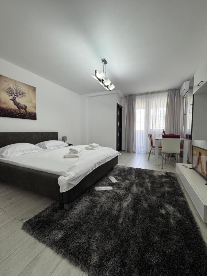 LUXURY studio PLAZA M DRUMUL TABEREI - B&B