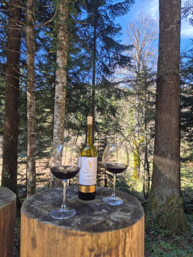 Kuća za odmor Carpe Diem - Bed and Breakfast