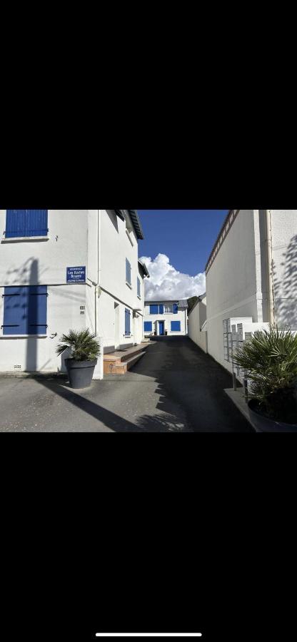Appartement bord de mer - B&B