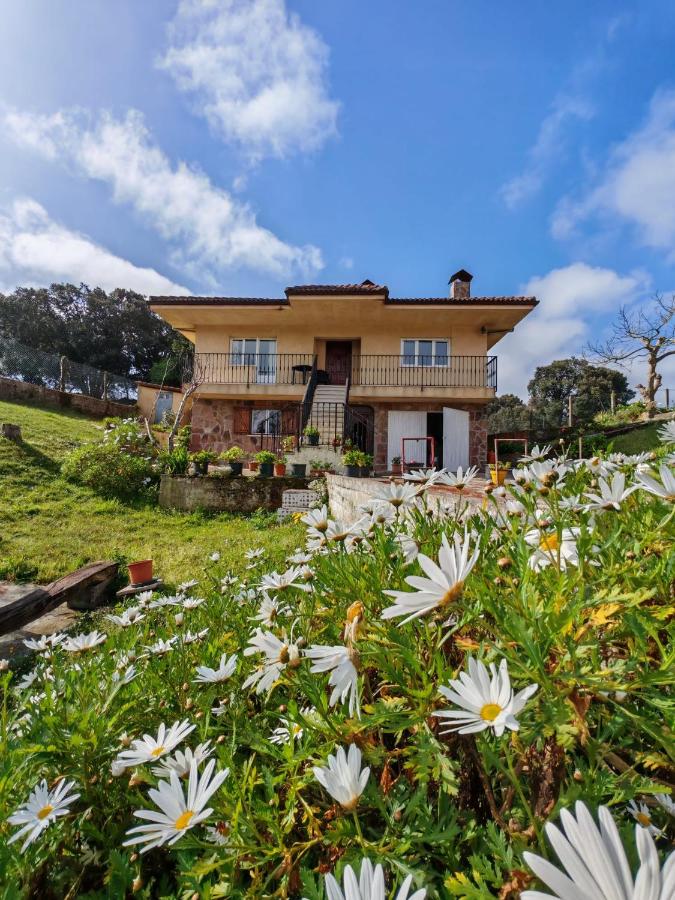 Apartamento con jardín - Chambres d’hôtes