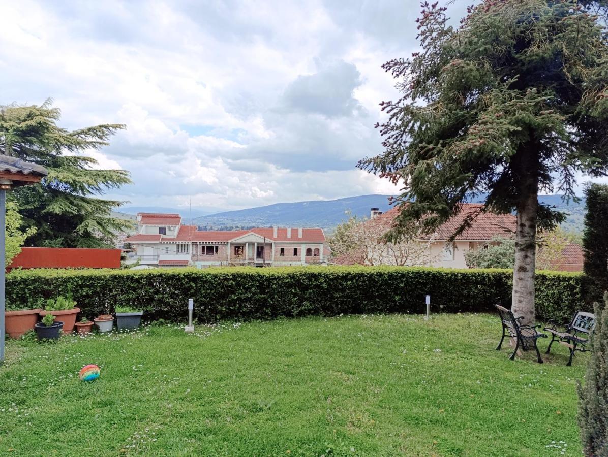 Seferi4suite Ioannina - B&B Eleoúsa