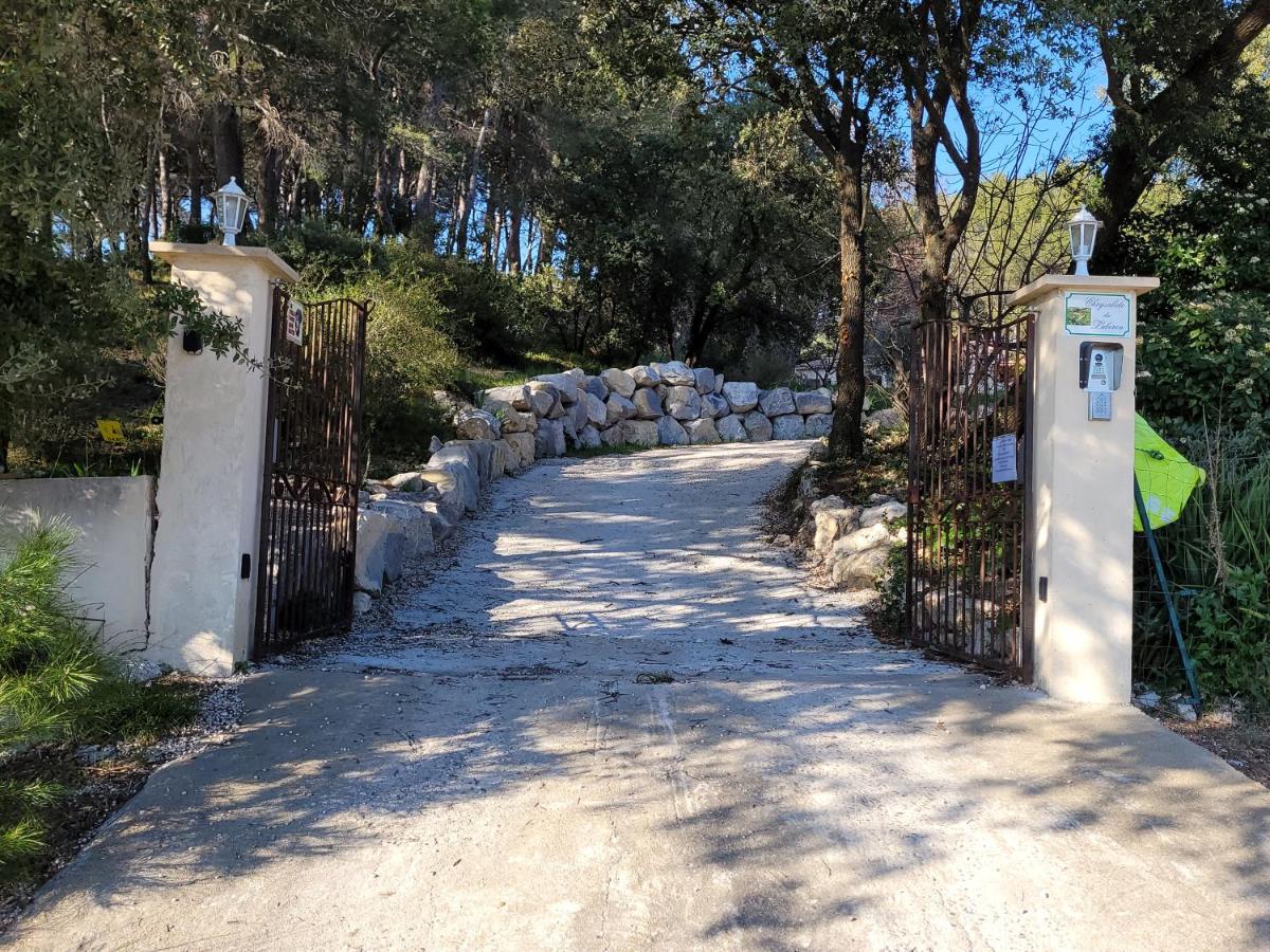 Gîte Chrysalide du Luberon - B&B