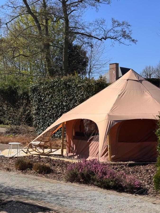 Witte Merel Glamping - B&B