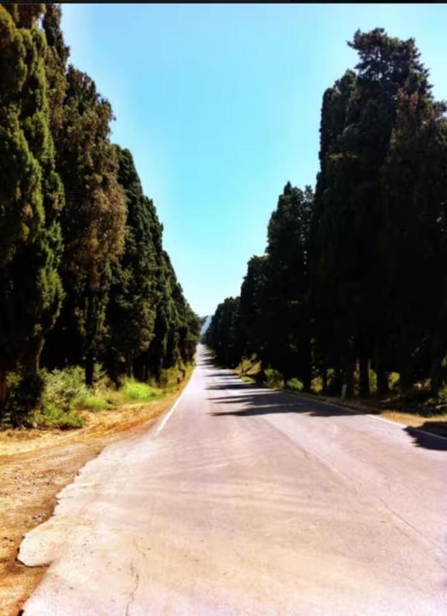 Poggio Ai Due Pini - Ferienwohnung Bibbona