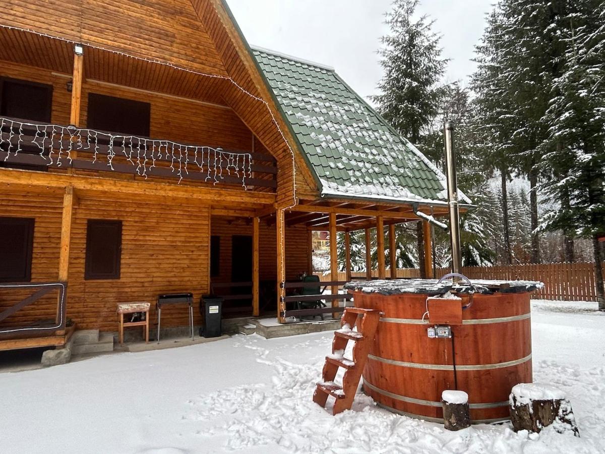 Vila Bradul Tarcău - Bed and Breakfast Schitu Tarcău