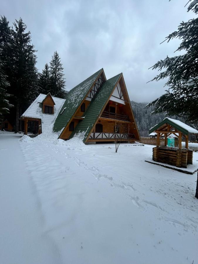 Vila Bradul Tarcău - Bed and Breakfast Schitu Tarcău
