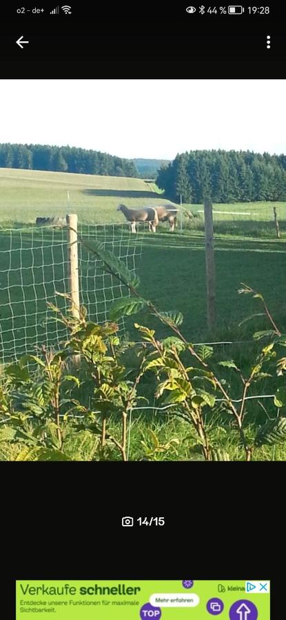 Eselhof Mobilheim - B&B Mützenich