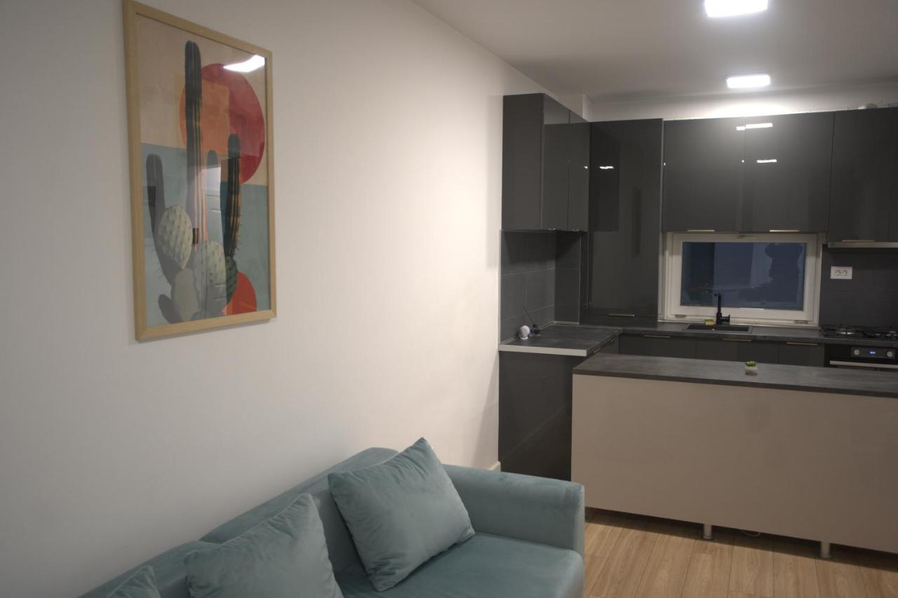 Via 7 I 2BR apartment on Pipera Blvd - B&B