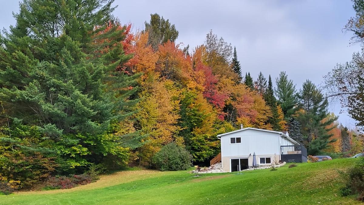 Comfy creekside chalet HiSpeedNet w Workspace - Bed and Breakfast