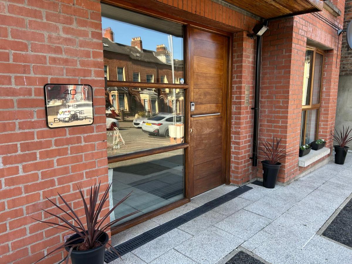 2 bed Newly renovated city apartment - B&B