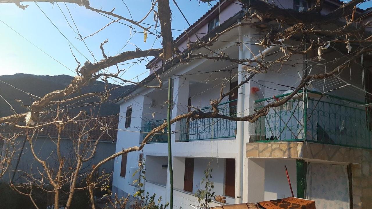 Vila Ansi Klean - B&B