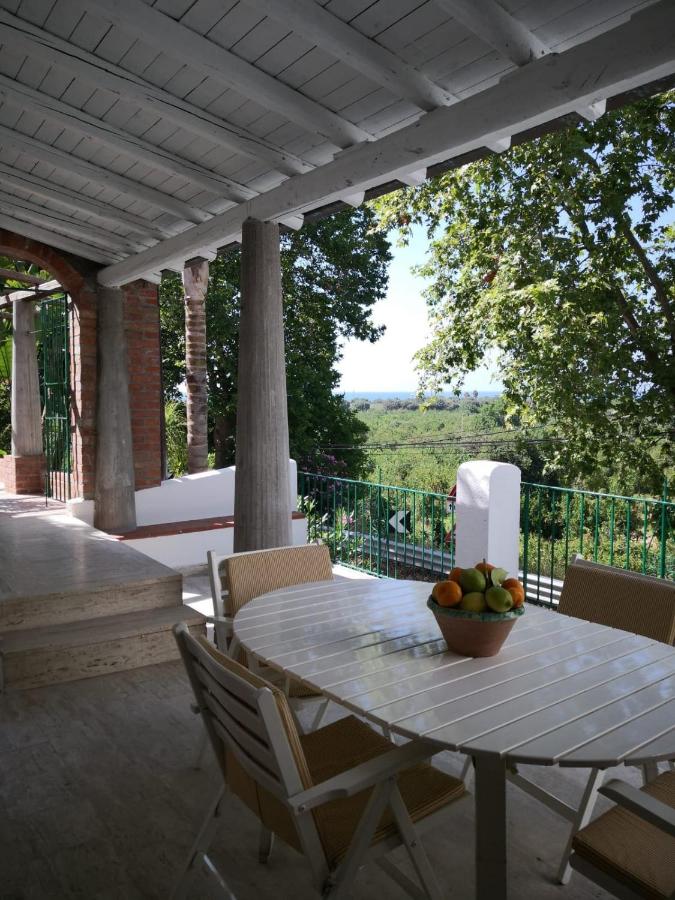 Un'oasi tra i limoni - B&B