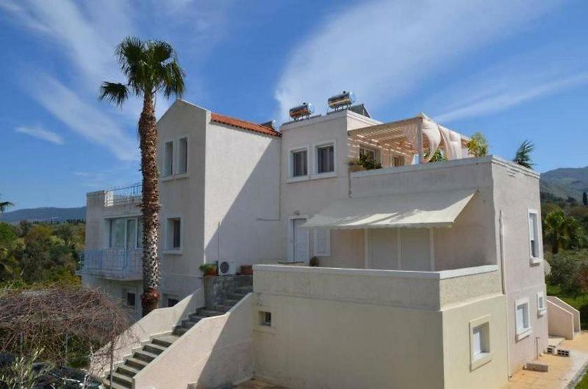 Platon Apartments - B&B Kos