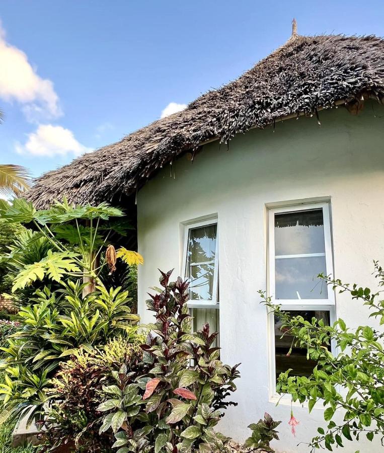 Dama Villa - B&B