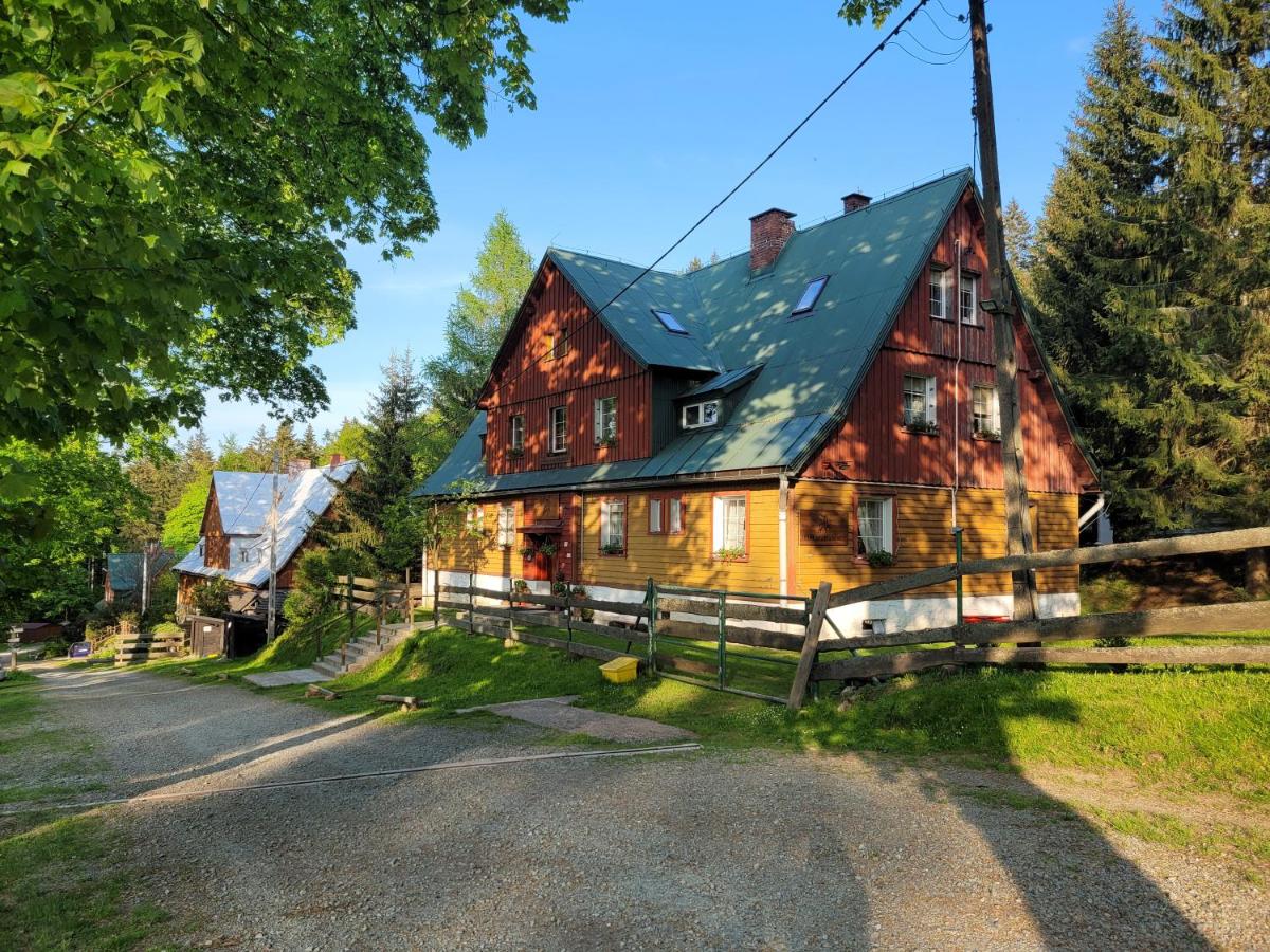 Leśne Apartamenty