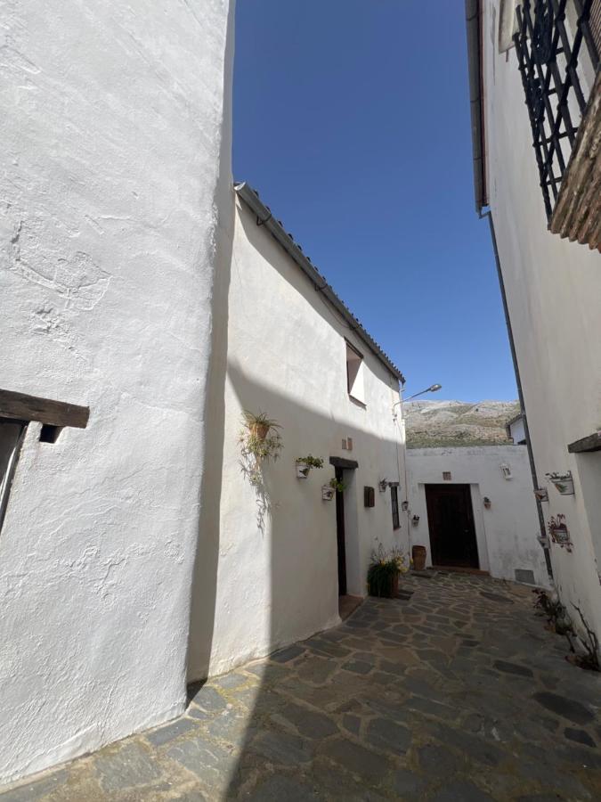 Casa Orencio, bosque encantado de Parauta - B&B