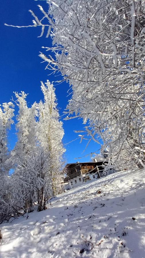 Appartamento Monolocale con 1 Letto Matrimoniale