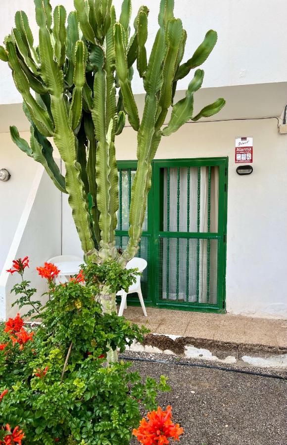 Casita Alma Zen - B&B