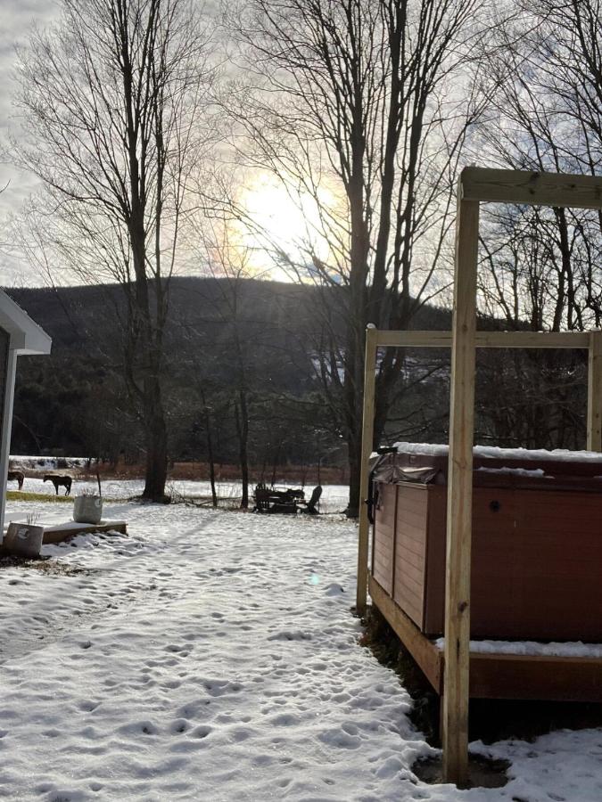 The Cabins at Walnut Grove-minutes from Hunter and Windham - B&B Ashland