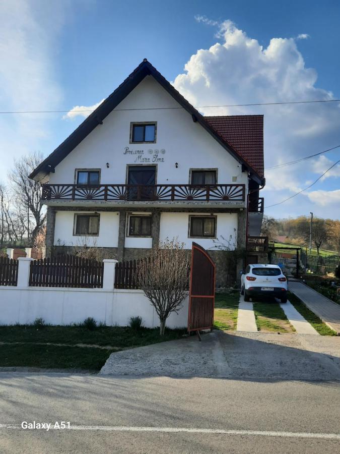 Pensiunea Maria-Elena - Bed and Breakfast Ponoarele