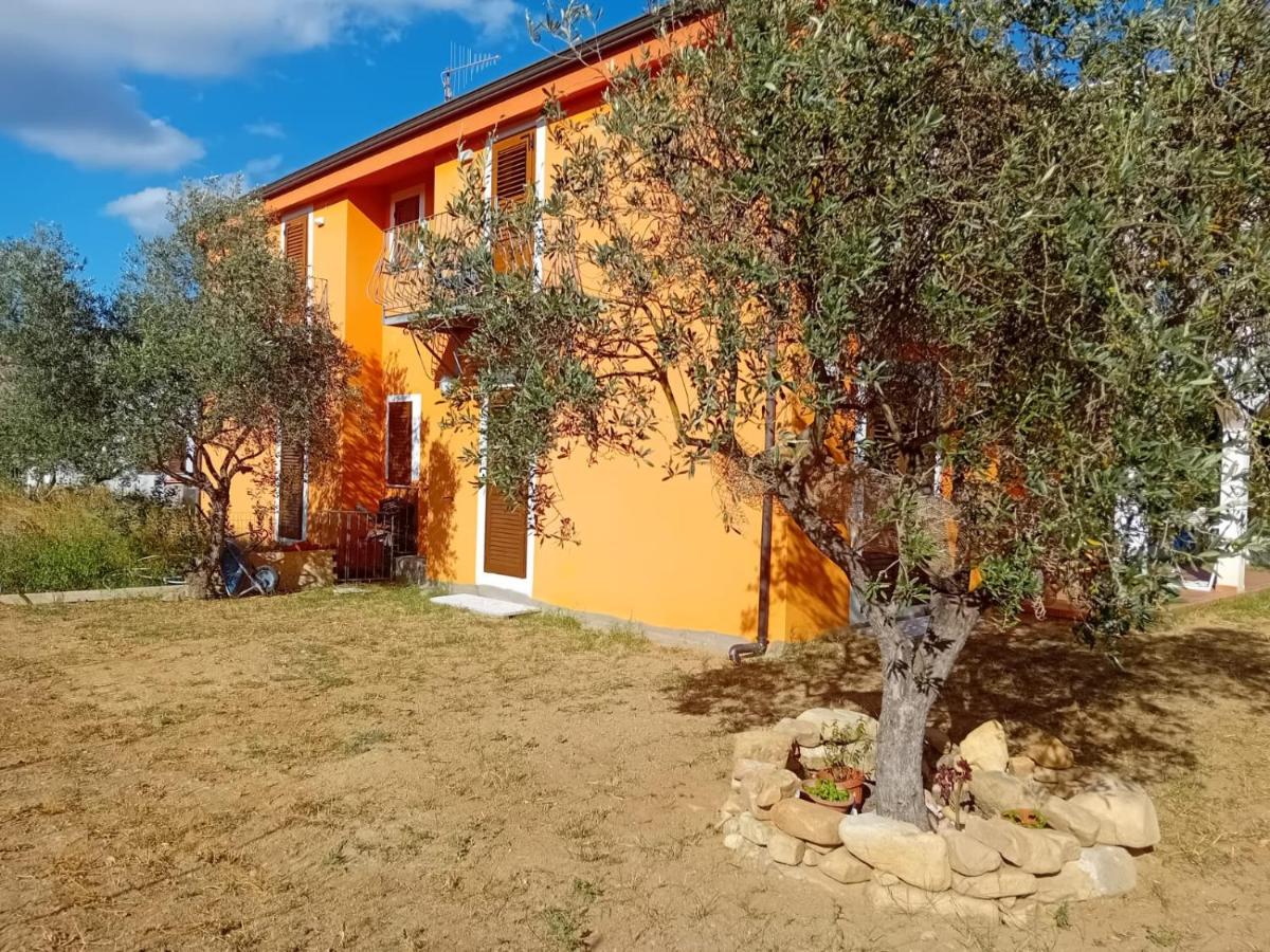 Carmen House - Ferienwohnung Olia Speciosa