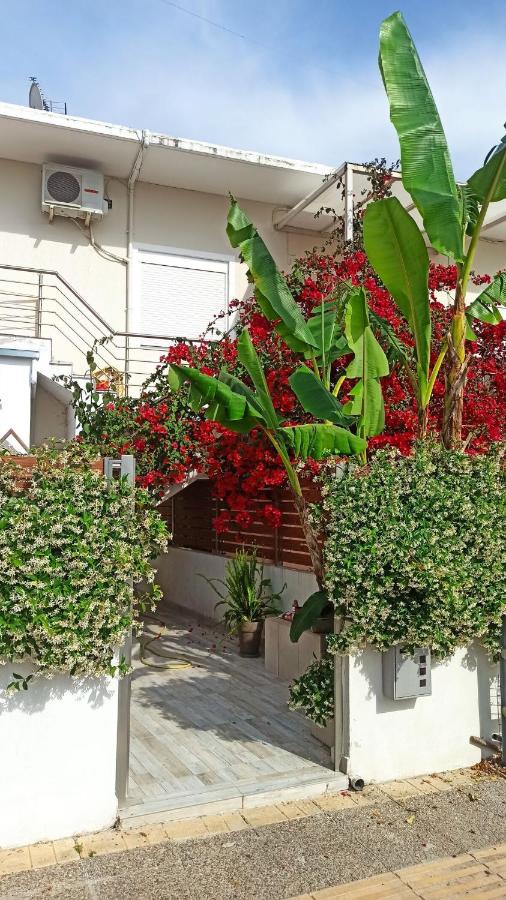 Ledeza Apartment Igoumenitsa - B&B Ladochóri