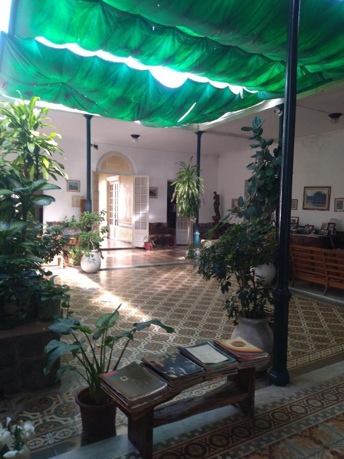 Studio with Garden View