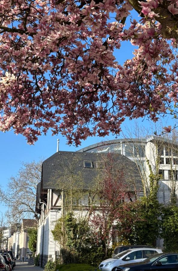 Parkresidenz - Ferienwohnung Neheim-Hüsten