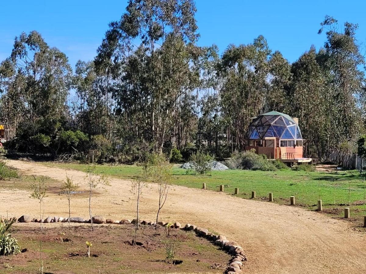 Domo Tunquen - B&B