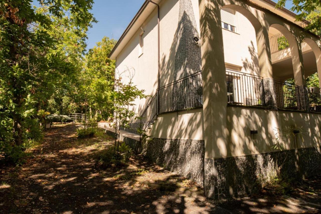 LN ETNA HOUSE-villa ad uso esclusivo - B&B Pedara