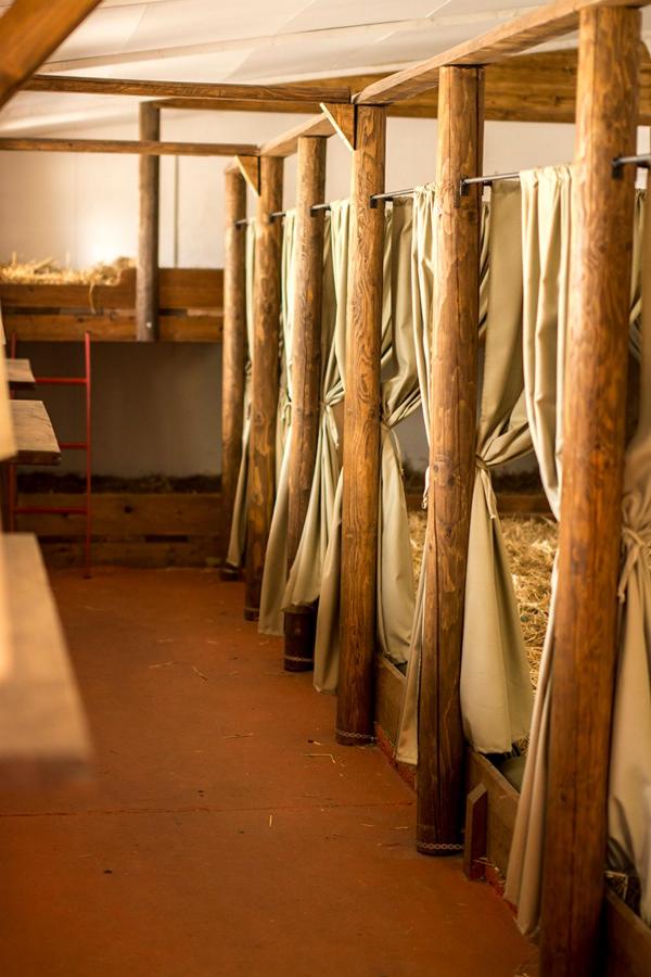 Bed in Mixed Dormitory Room