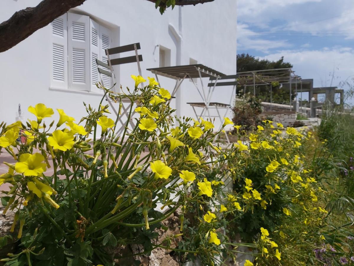 Dandelion Paros Apartments I-II - B&B
