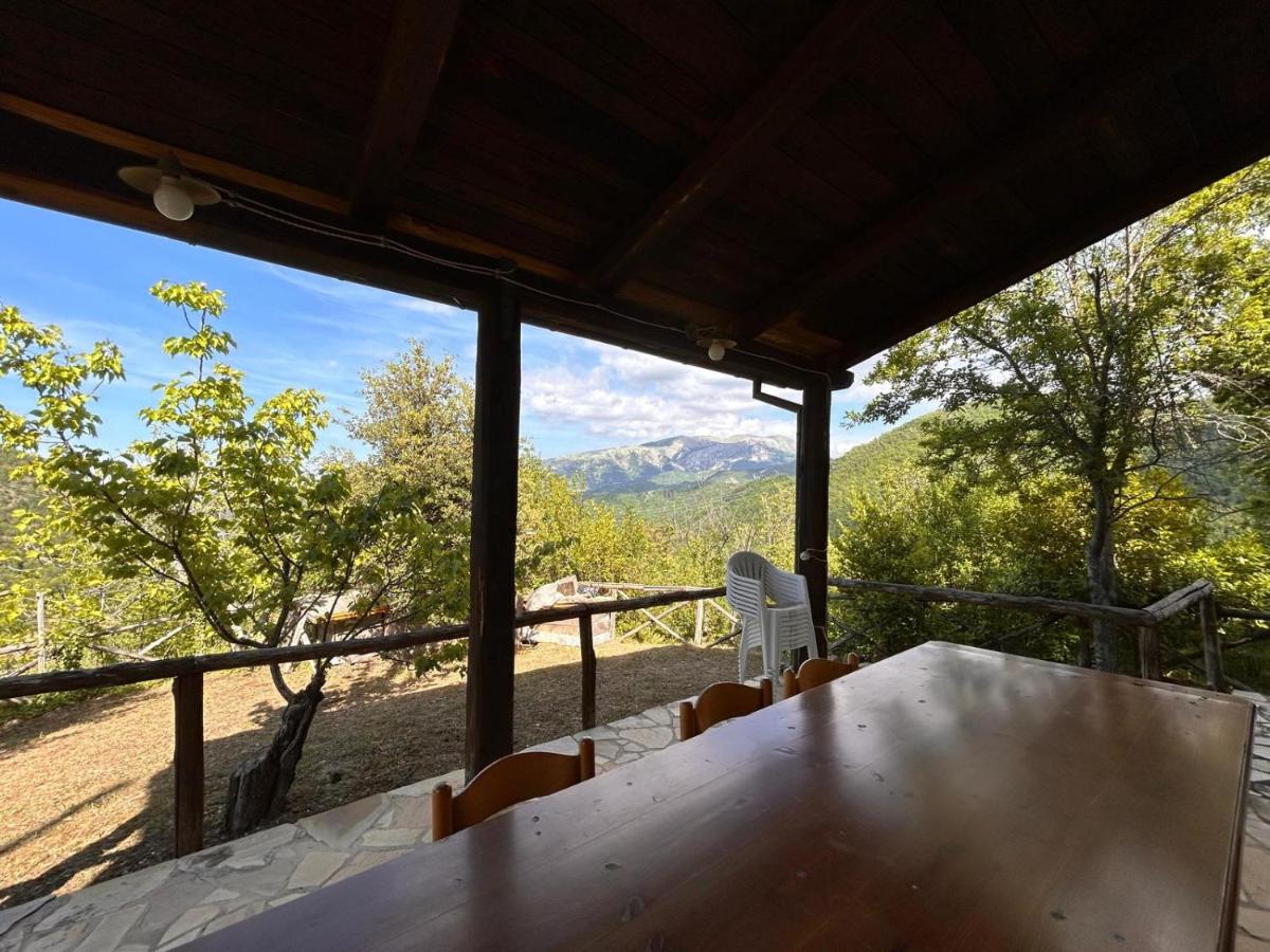 La casetta nel bosco - B&B Pedana