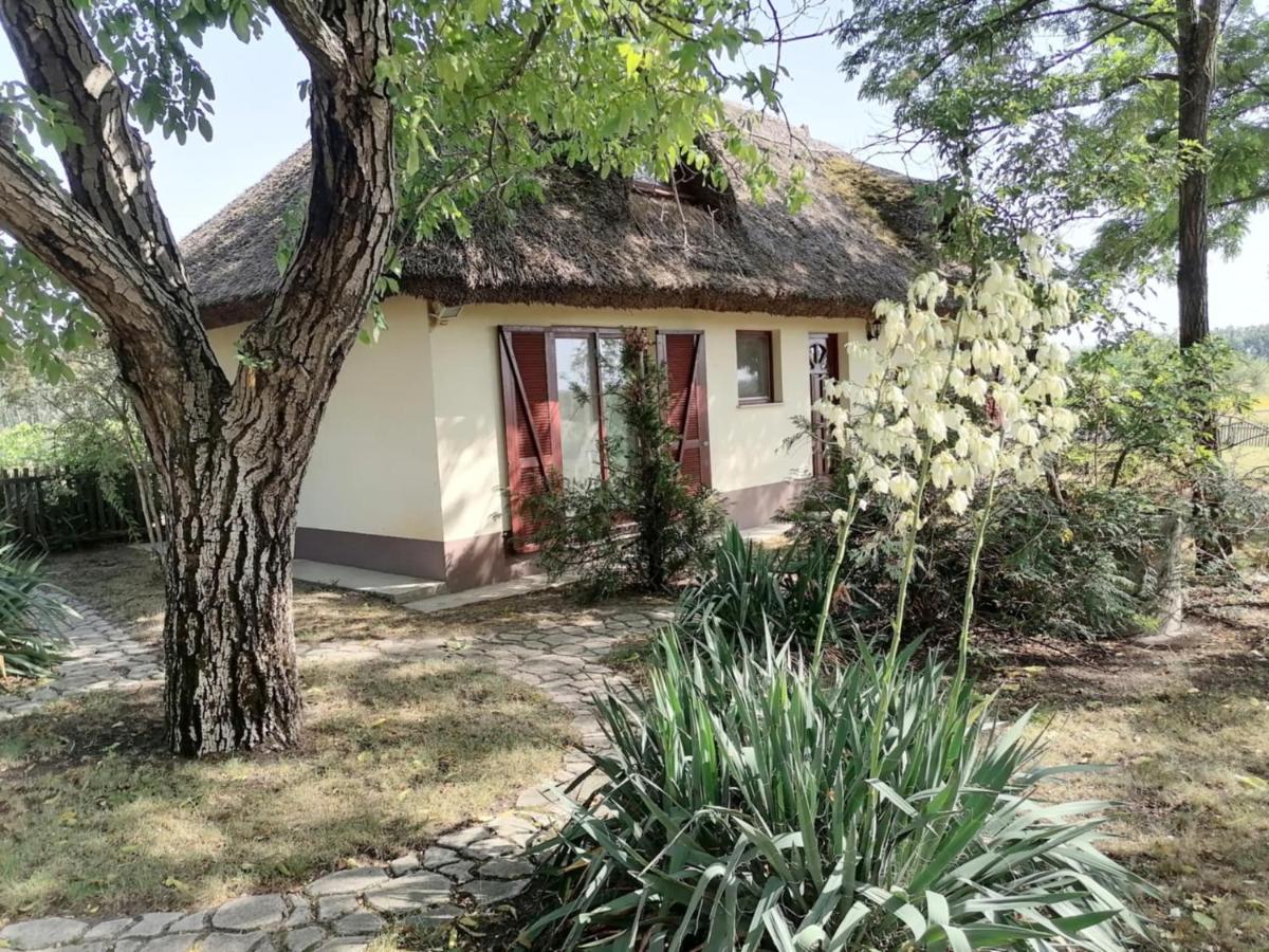 Nádas Tanya 2 maisons en pleine nature et Piscine - B&B Orgovány