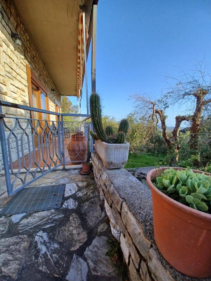 Verde Mare apartment Rosignano Marittimo - Chambres d’hôtes