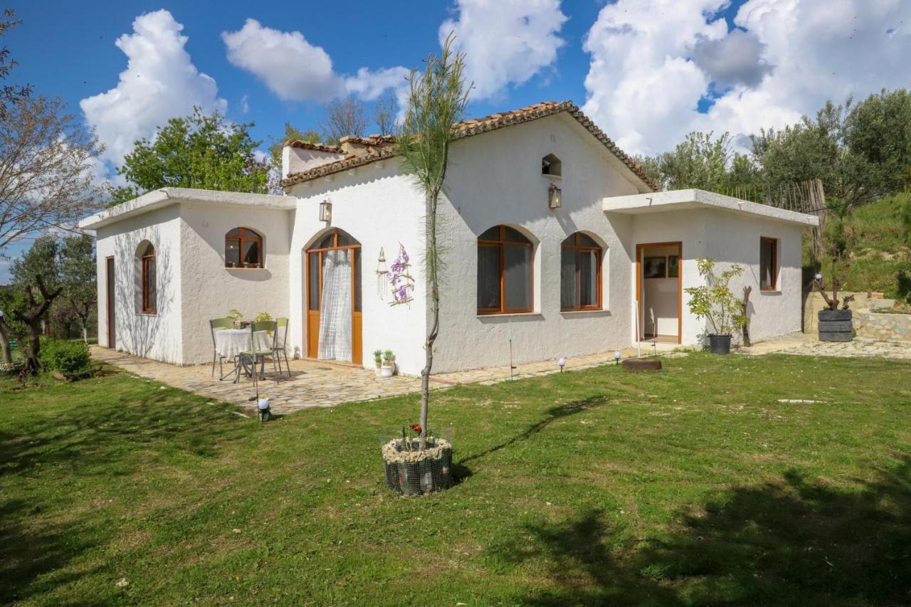 Bujtina Ethan Perondi - B&B Kuçovë