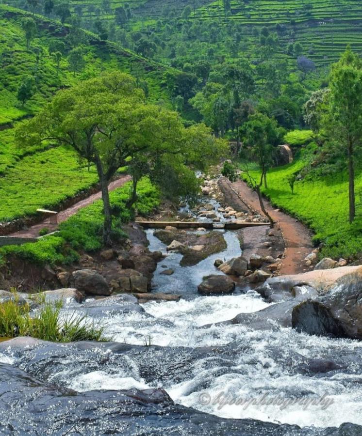 Cascade Meadows Bungalow with Waterfall View - Chambres d’hôtes Kotagiri