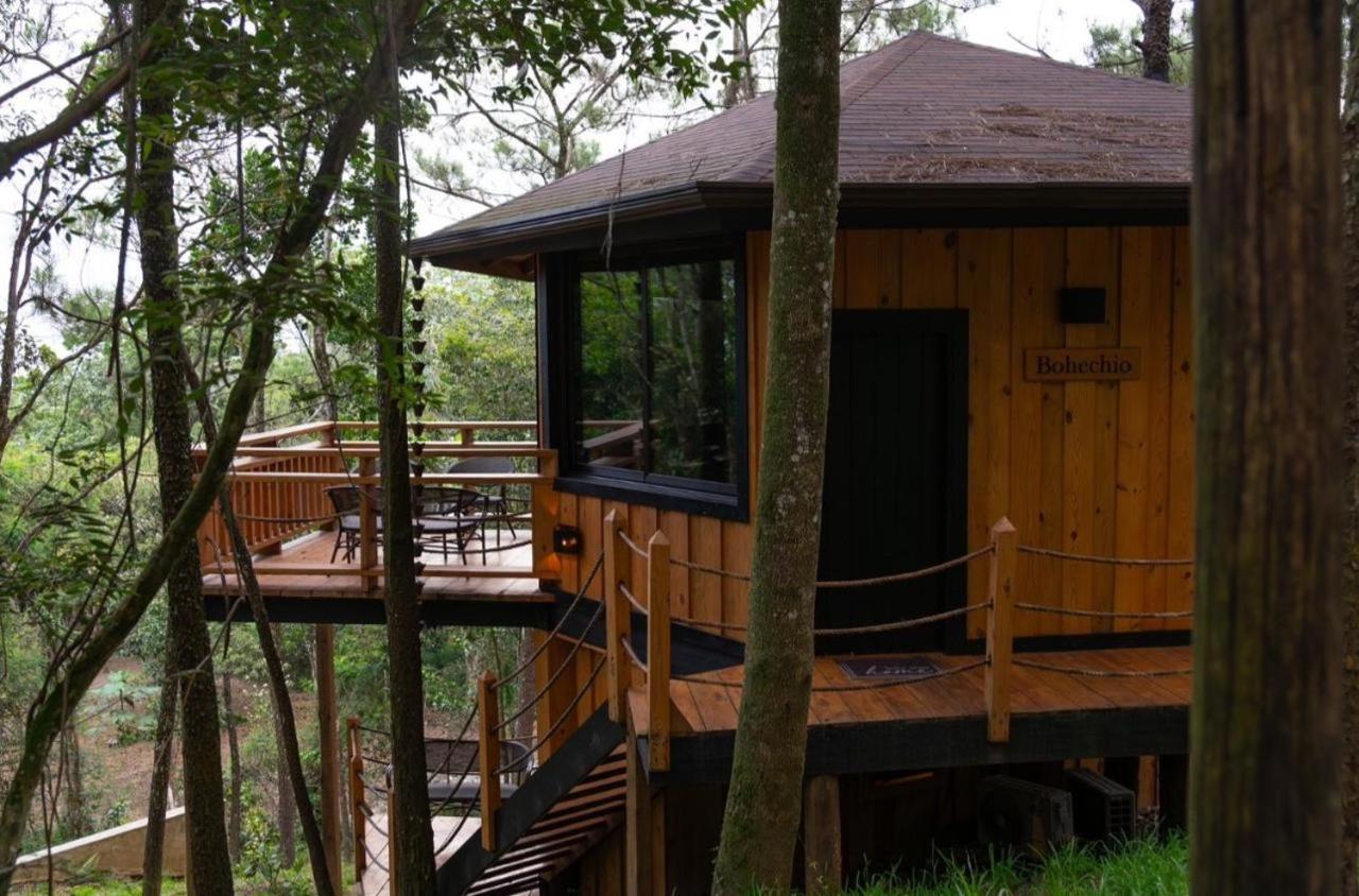 The Grand Forest Jarabacoa - Chambres d’hôtes Jarabacoa