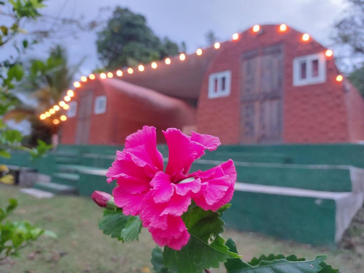 Cabaña Glamping en Finca Agroturística Productora de Café - Ferienwohnung